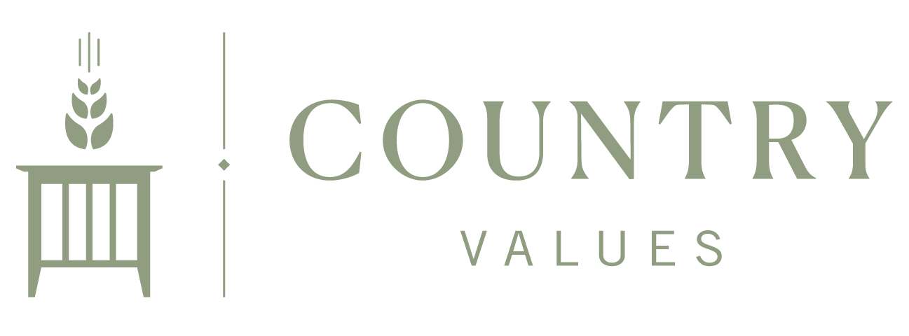 Country Values Country Values logo